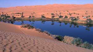 Östliche Sahara, Libyen: Große Expedition - Palmenbestandenes Flussufer zwischen Sanddünen